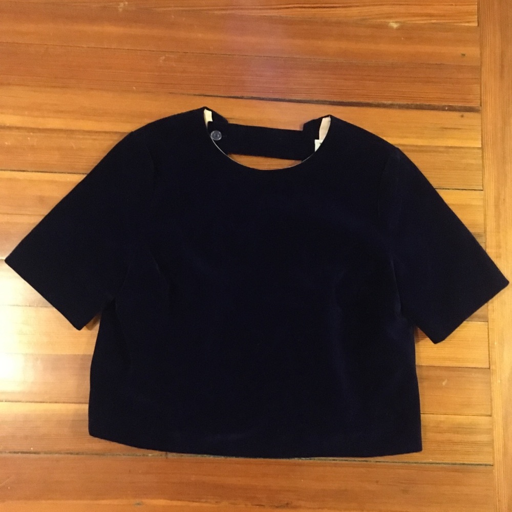 Blue velvet cropped top.
